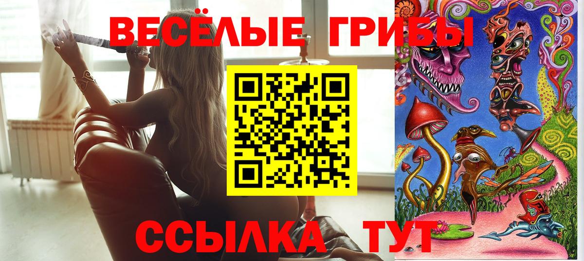 Нововоронеж  Псилоцибиновые грибы GOLDEN TEACHER  Вход с VPN  Псилоцибиновые грибы ЛСД 
